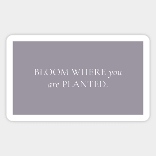 Bloom Where You Are Planted Magnet